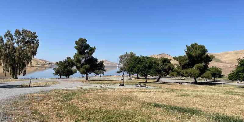 Camper submitted image from COE Success Lake Tule Campground