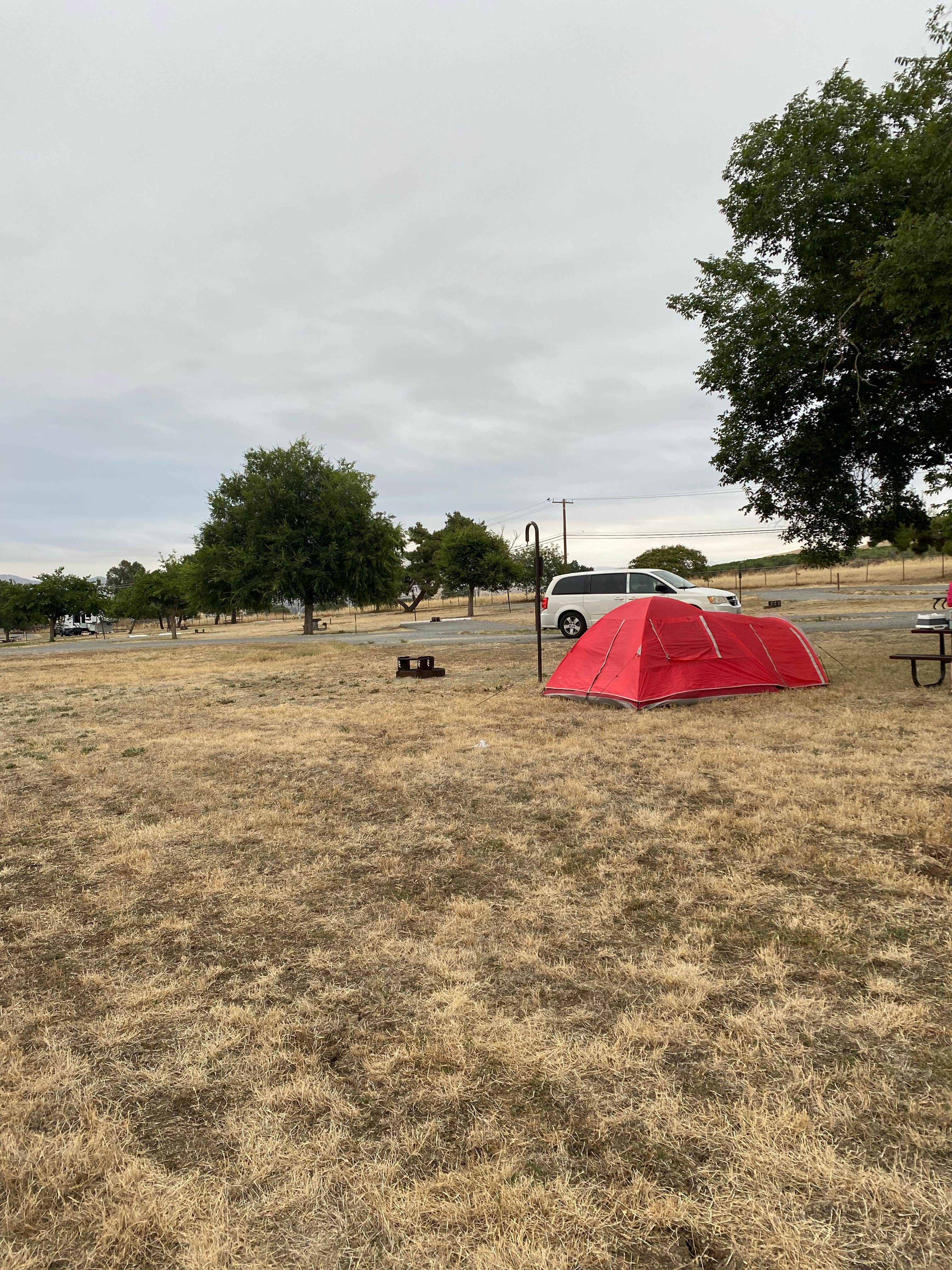 Camper-submitted photo at COE Success Lake Tule Campground near Sunland, CA