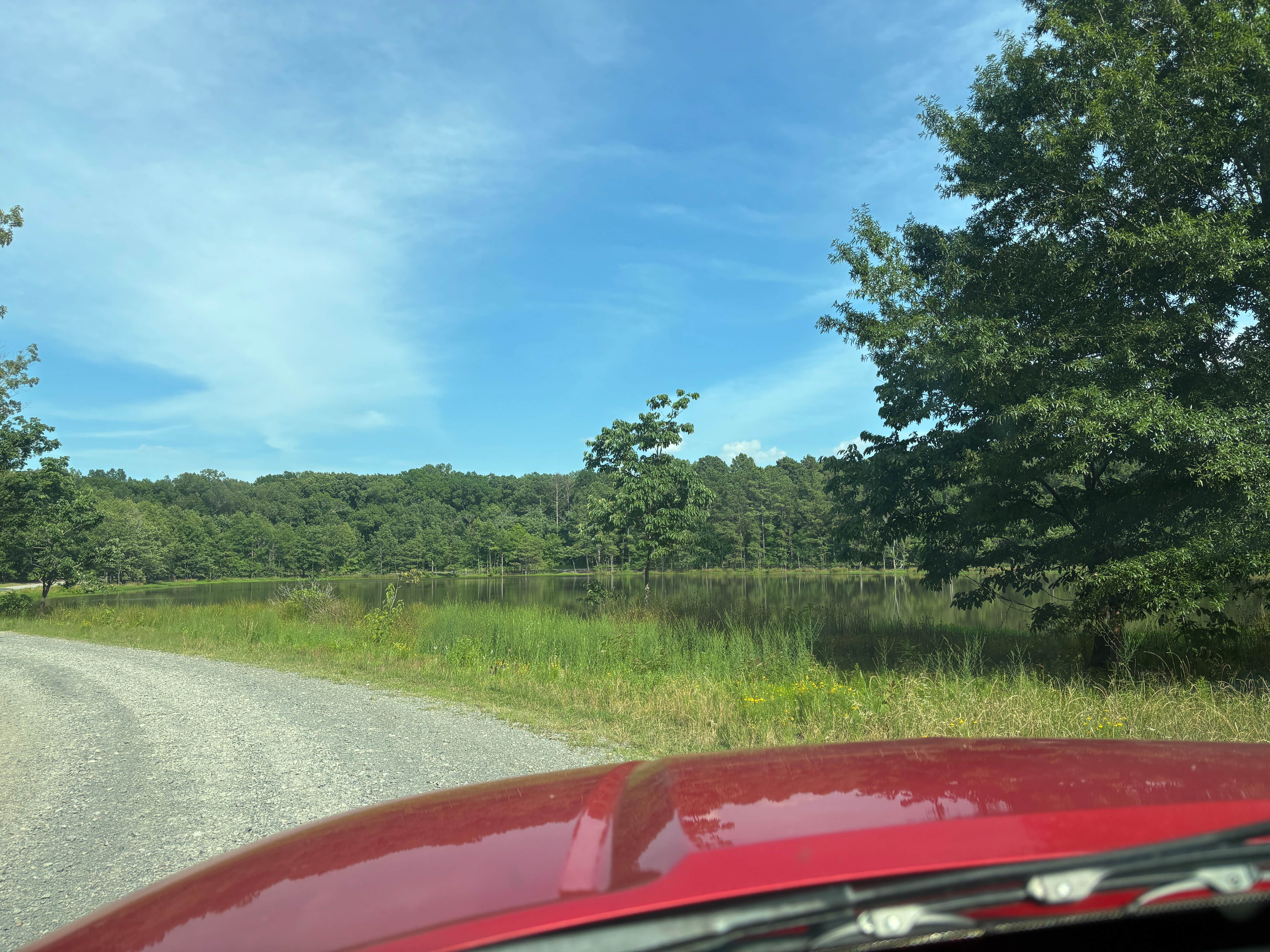 Camper-submitted photo at South Webb Lake Camp near LaGrange, AR