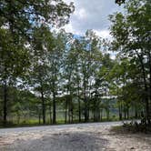 Review photo of South Webb Lake Camp by veneta M., June 5, 2026