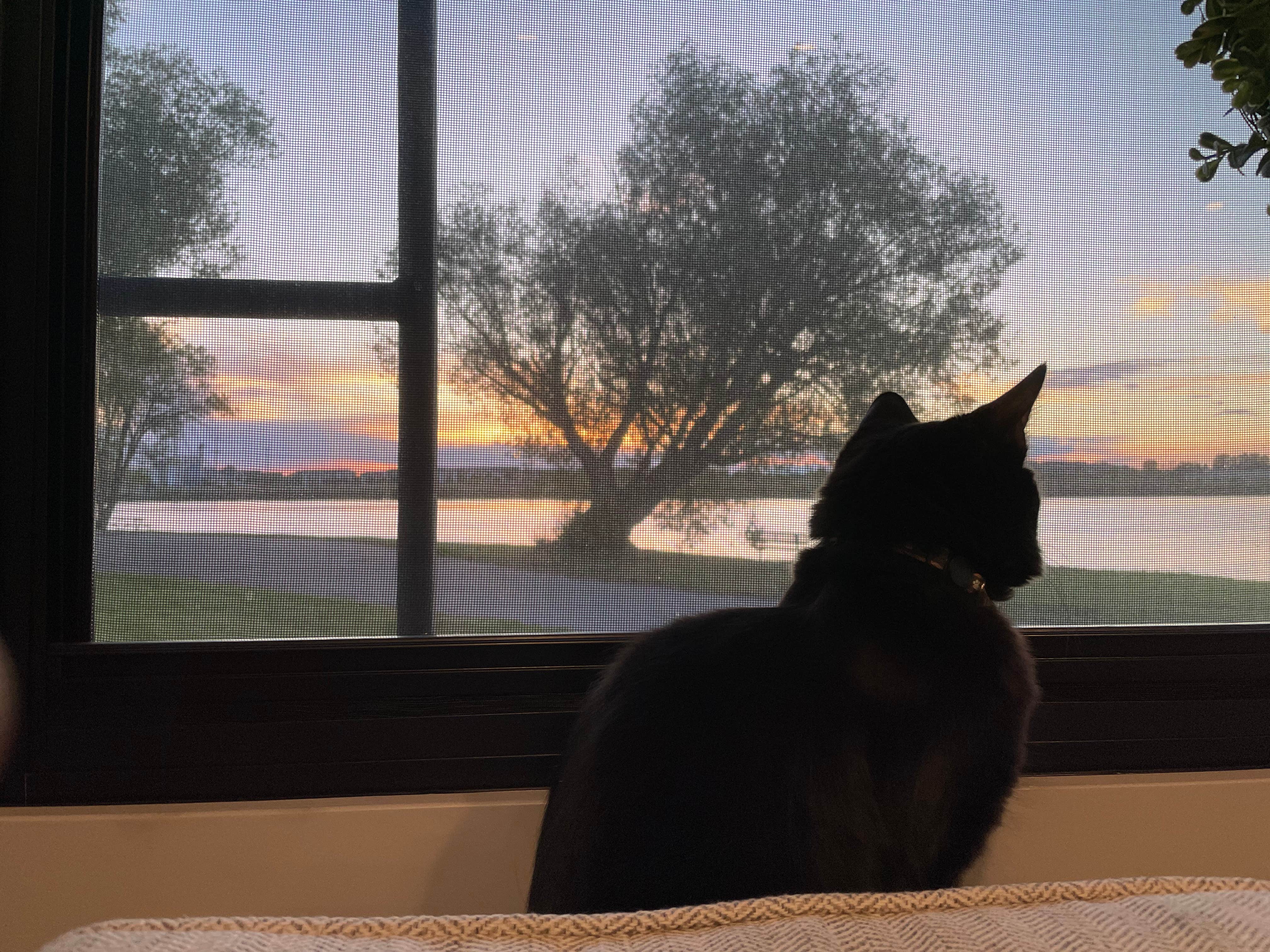 Camper-submitted photo at Southeast Tourist Campground/RV near Idaho Falls, ID