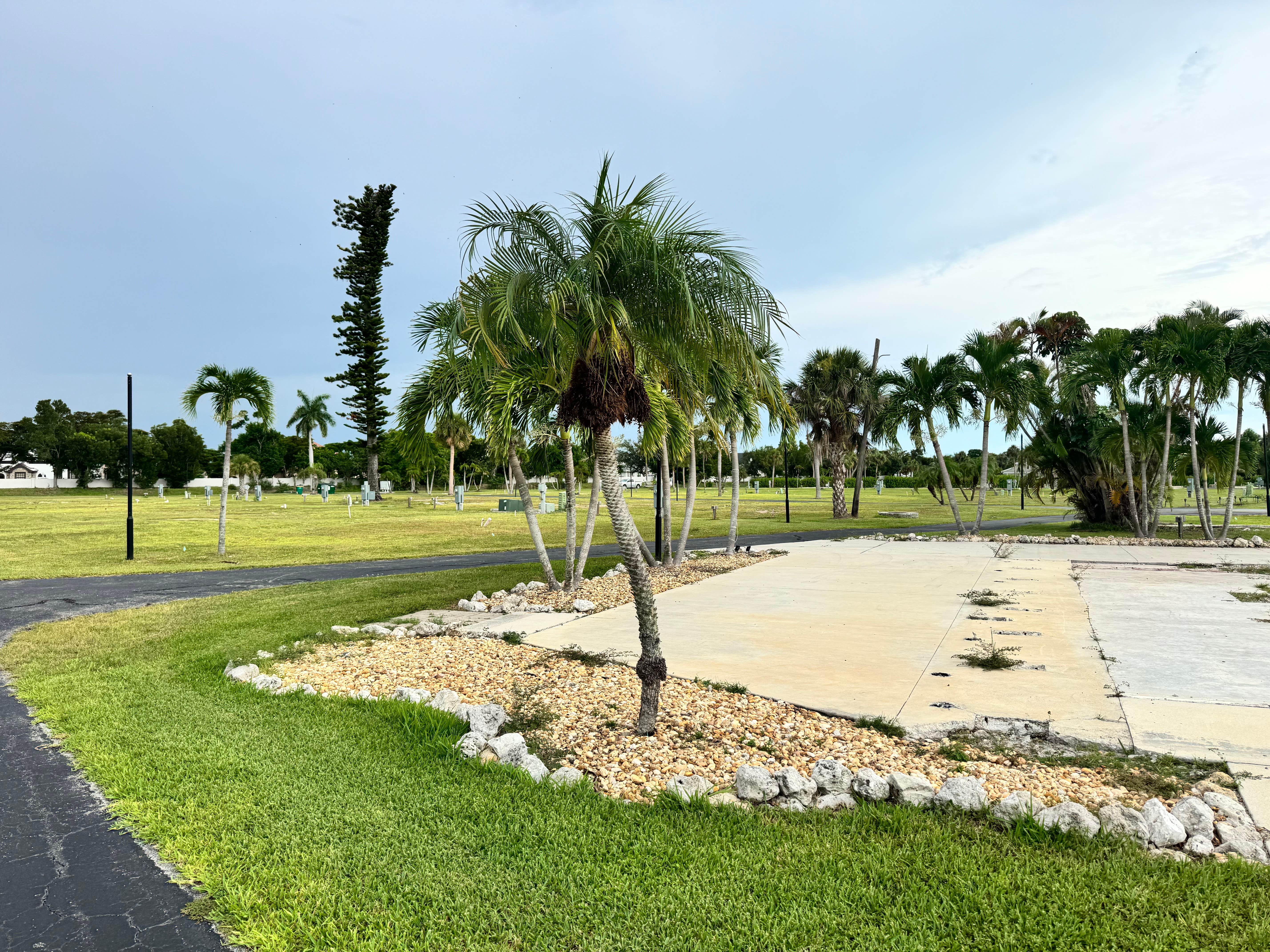 Camper-submitted photo at Southern Breeze RV and MHC near Cape Coral, FL