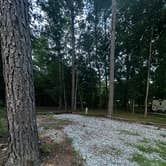 Review photo of Southern comfort RV park and campground by Lexi C., July 26, 2026