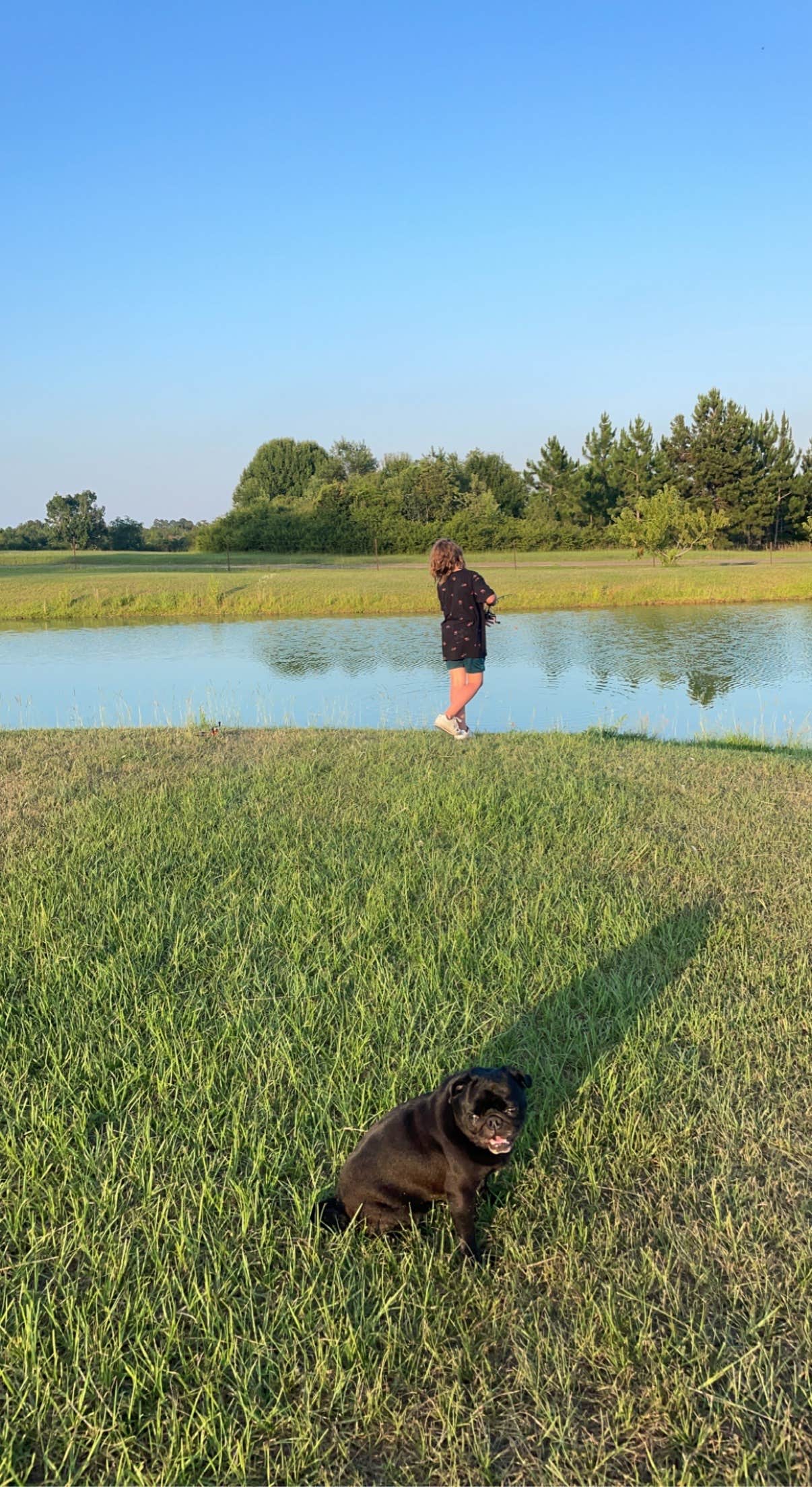 Ashley T.'s photo of camping with pets at Southern Trails RV Resort near Fitzgerald, GA