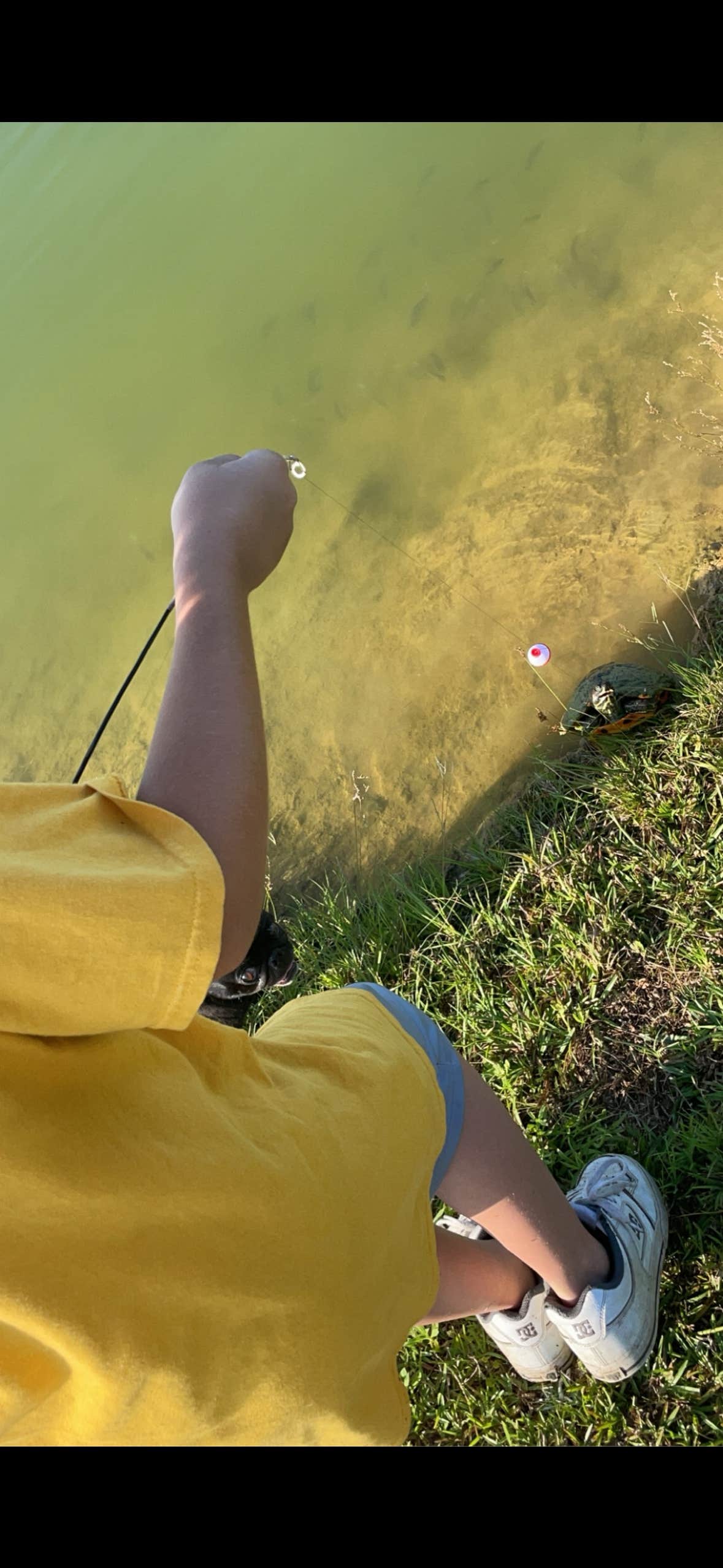 Camper-submitted photo at Southern Trails RV Resort near Perry, GA