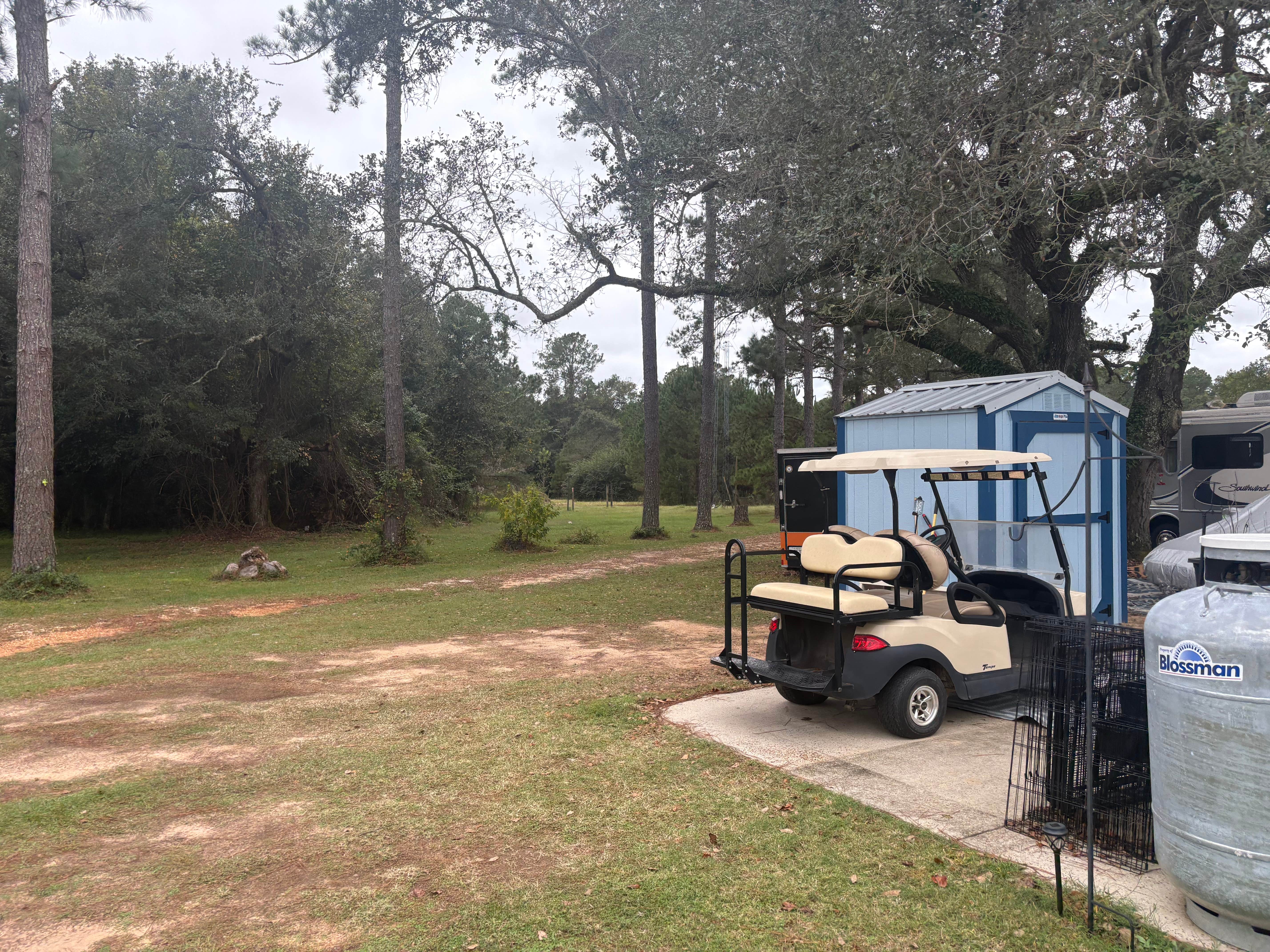 Camper submitted image from Camellia RV Park 55+ - 2
