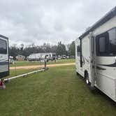 Review photo of Camellia RV Park 55+ by Donna T., October 29, 2025
