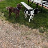 Review photo of Spanish Trails RV Park by Chris H., May 2, 2025