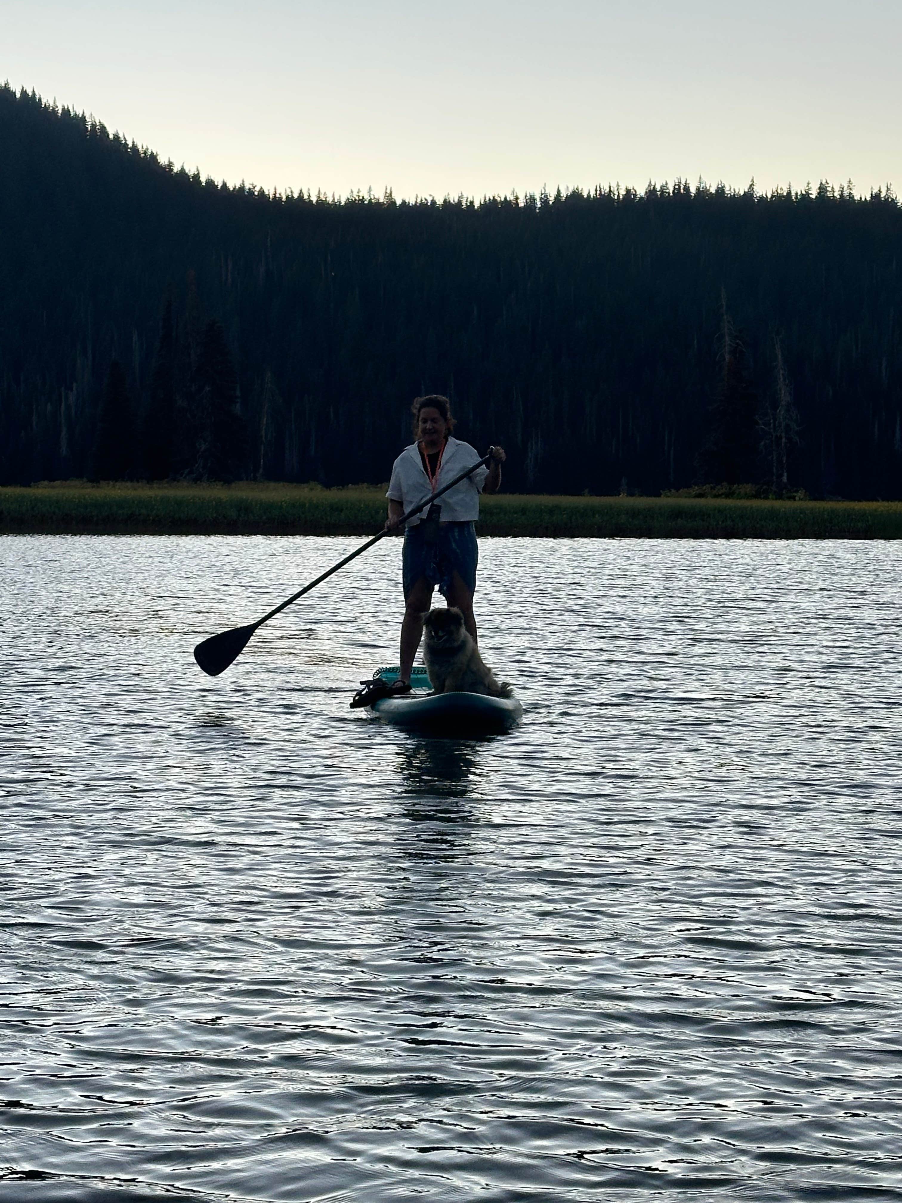 Terry M.'s photo of camping with pets at Sparks Lake Recreation Area near Willamette National Forest