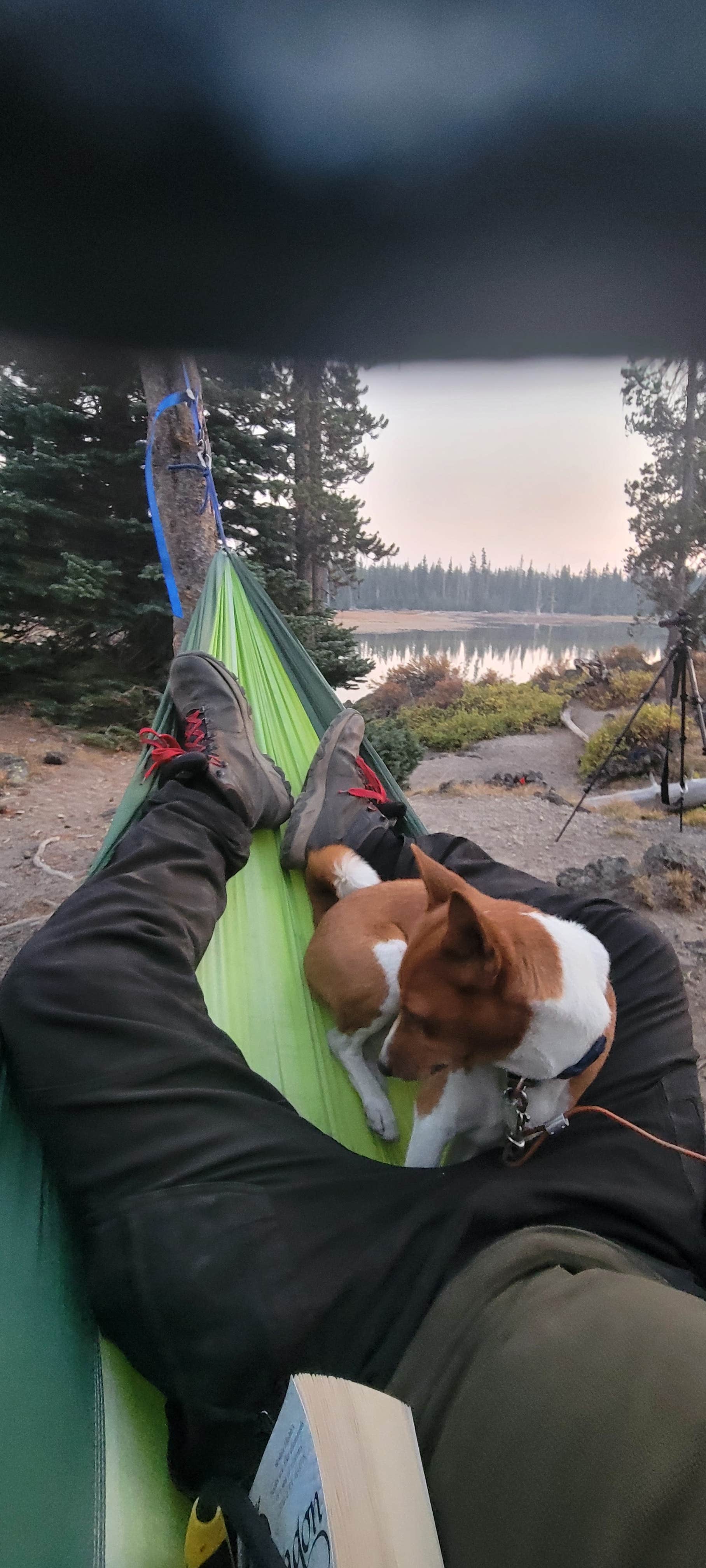 Camper submitted image from Sparks Lake Recreation Area - 5