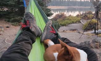 Justin L.'s photo of camping with pets at Sparks Lake Recreation Area near Willamette National Forest