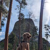 Review photo of Spearfish City Campground by MARK E., August 31, 2026