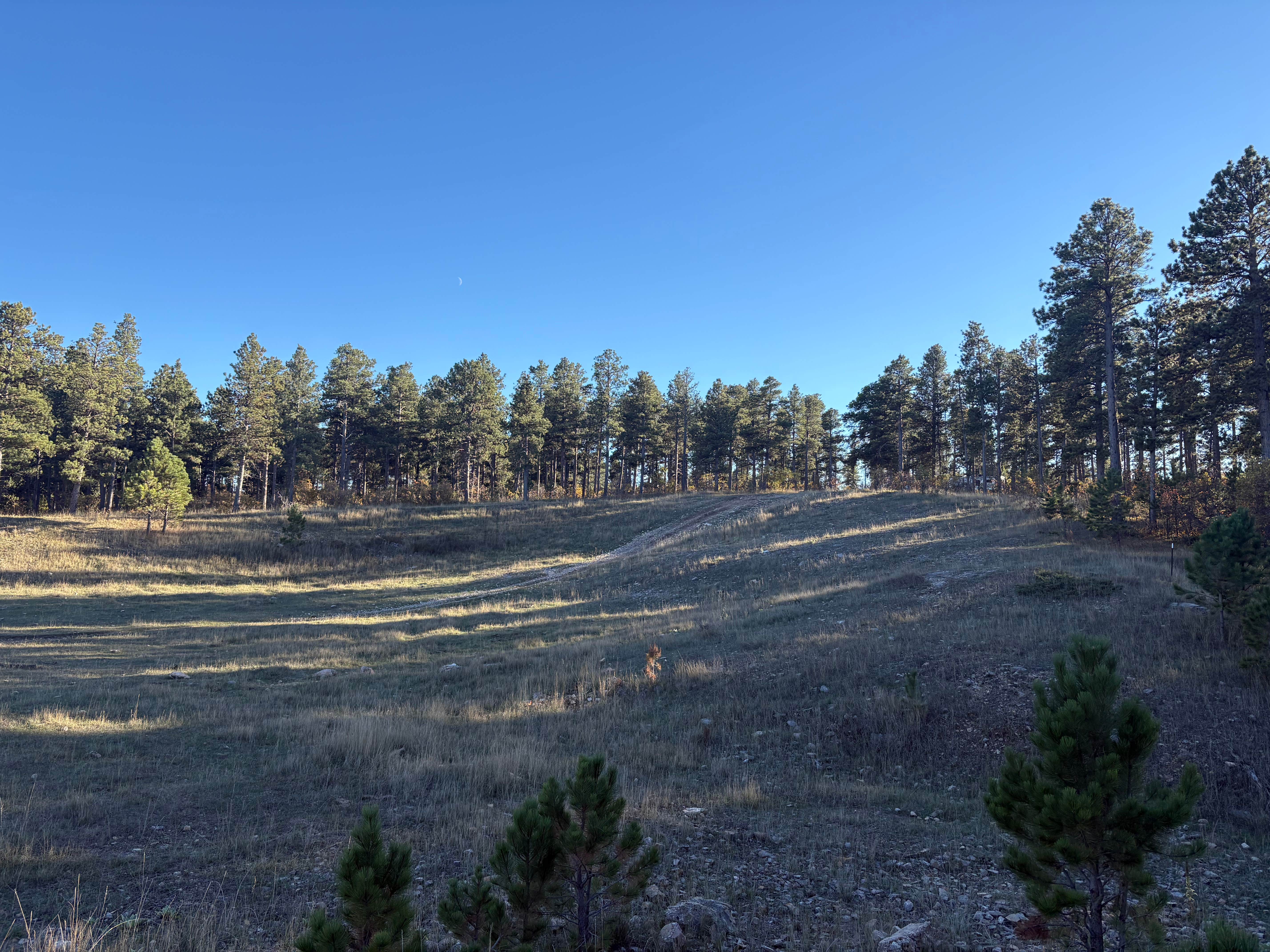 Camper-submitted photo at Spearfish Quarry near Whitewood, SD