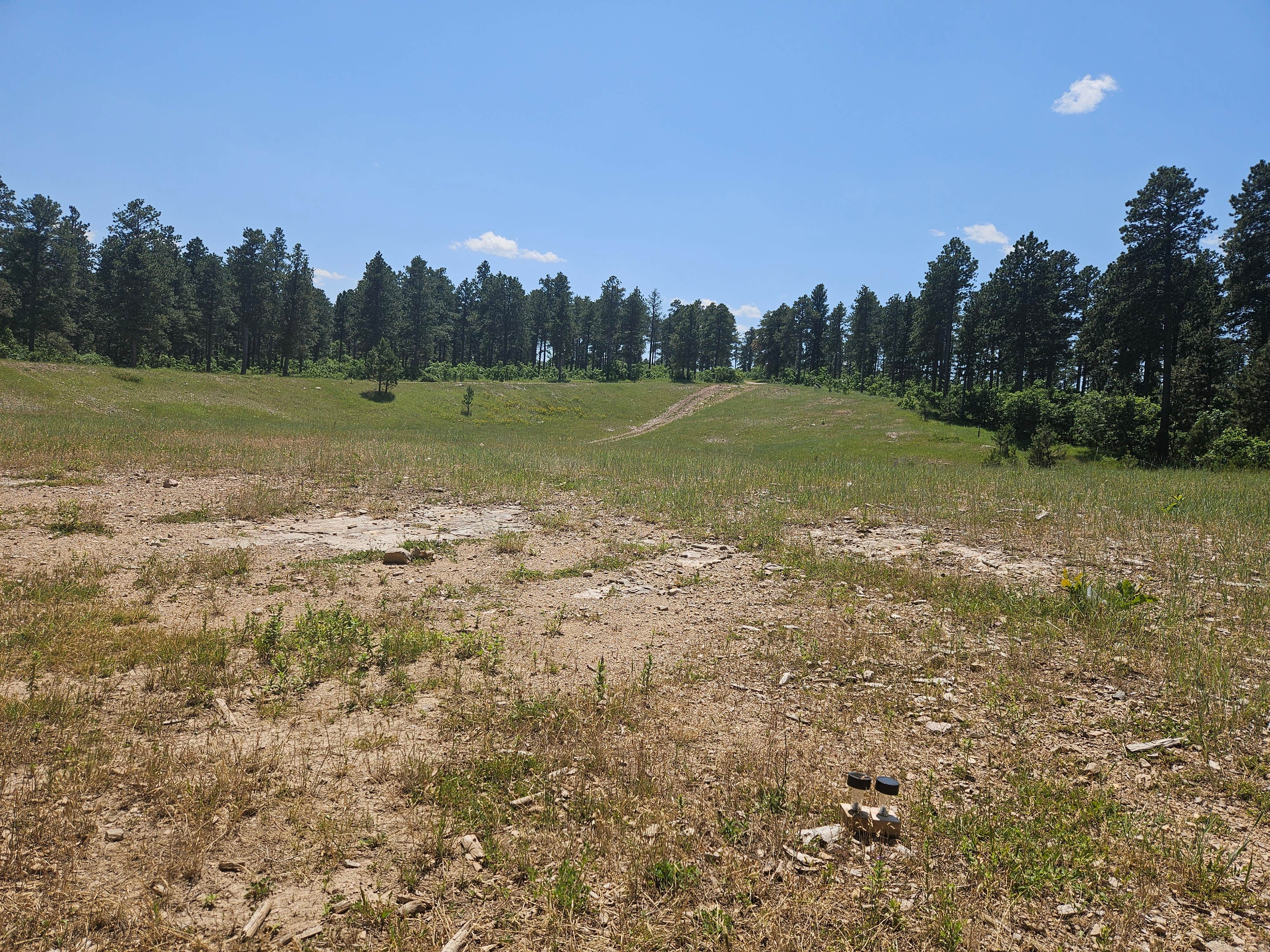 Camper-submitted photo at Spearfish Quarry near Deadwood, SD