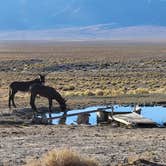 Review photo of Spencer Hot Springs by Erich J., October 19, 2023