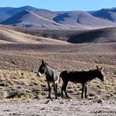 Review photo of Spencer Hot Springs by Erich J., October 19, 2023