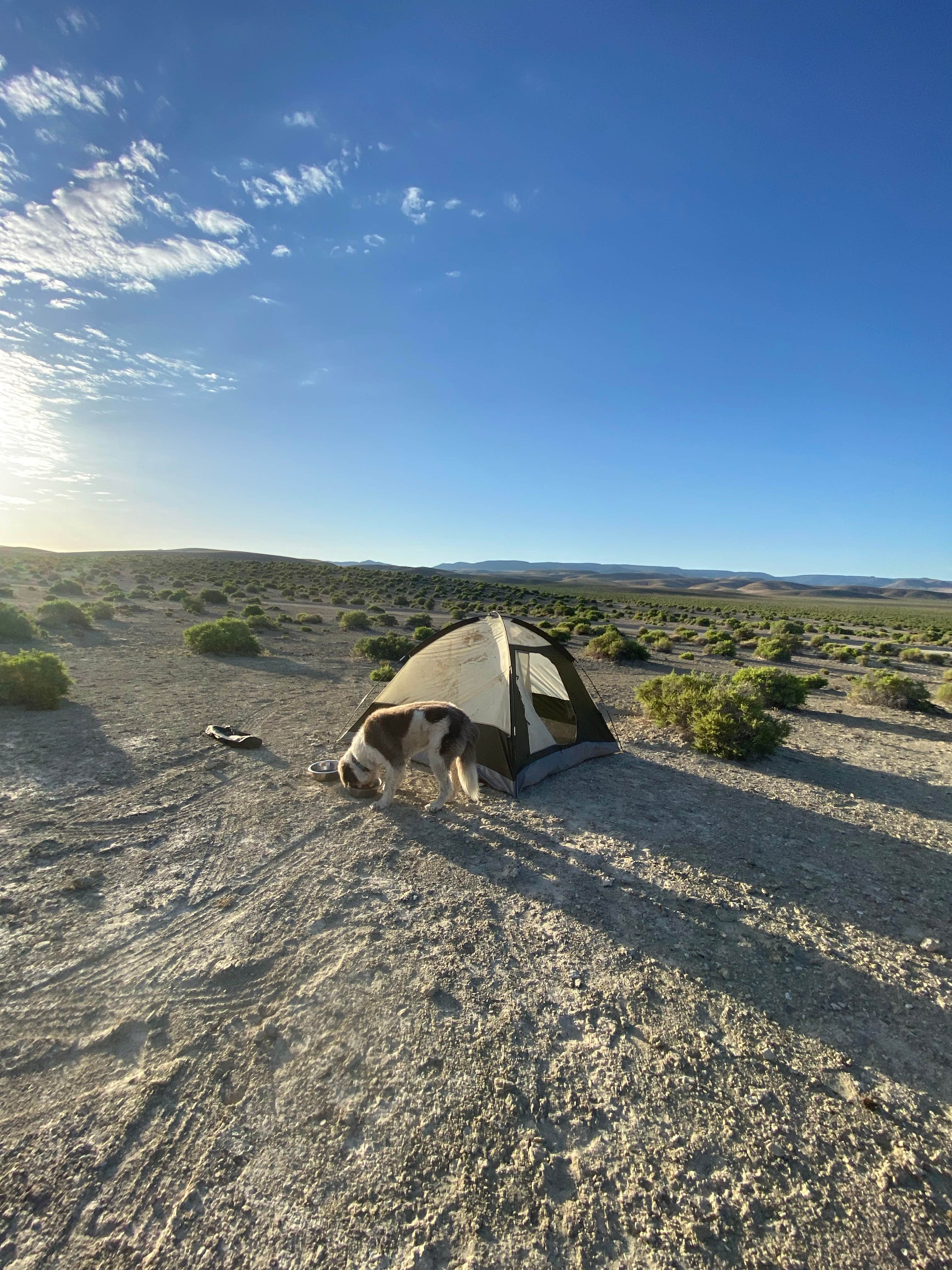 Nora S.'s photo at Spencer Hot Springs near Austin, NV
