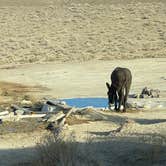 Review photo of Spencer Hot Springs by Roy S., December 6, 2025