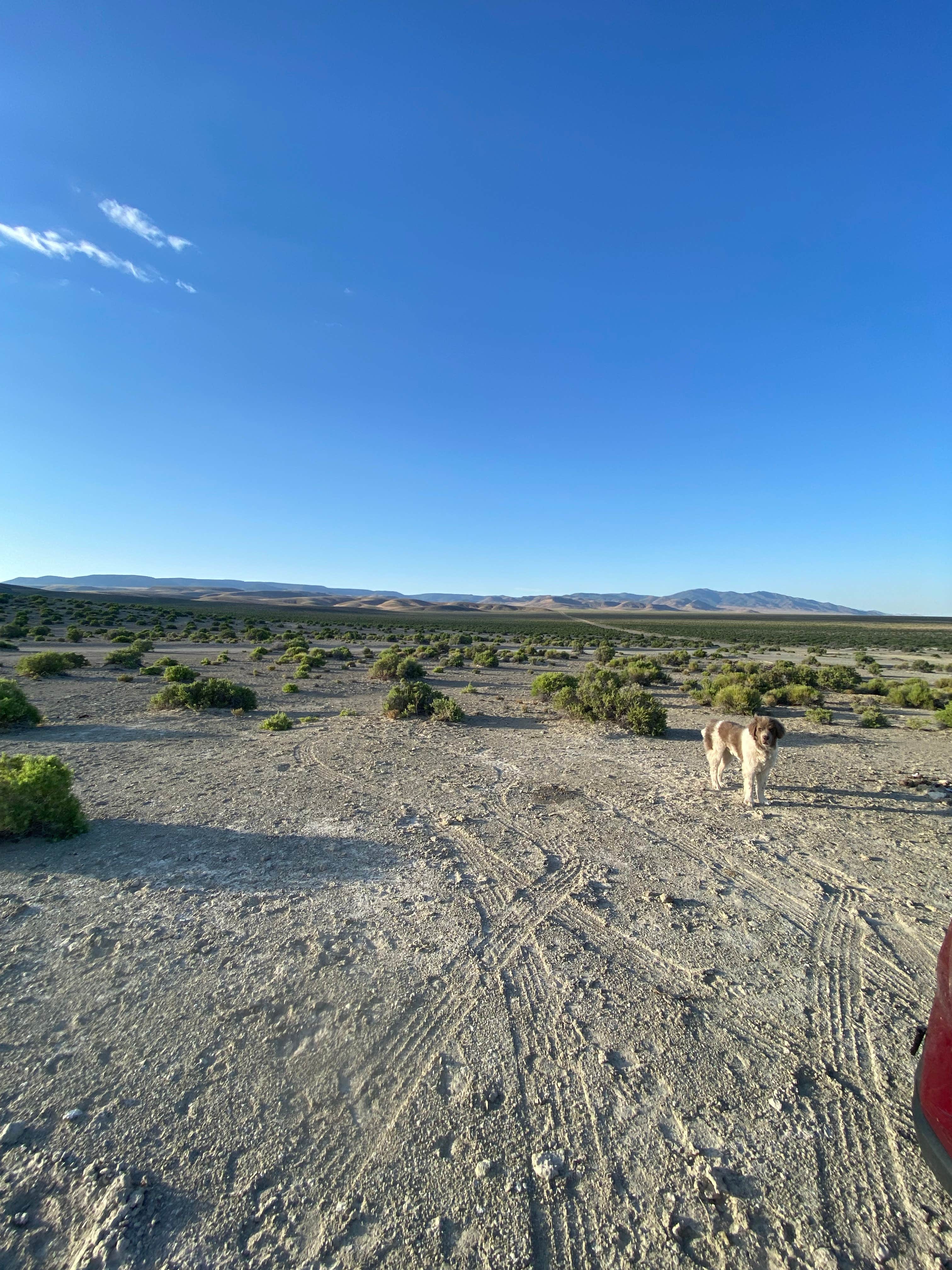 Spencer Hot Springs Camping | Austin, NV