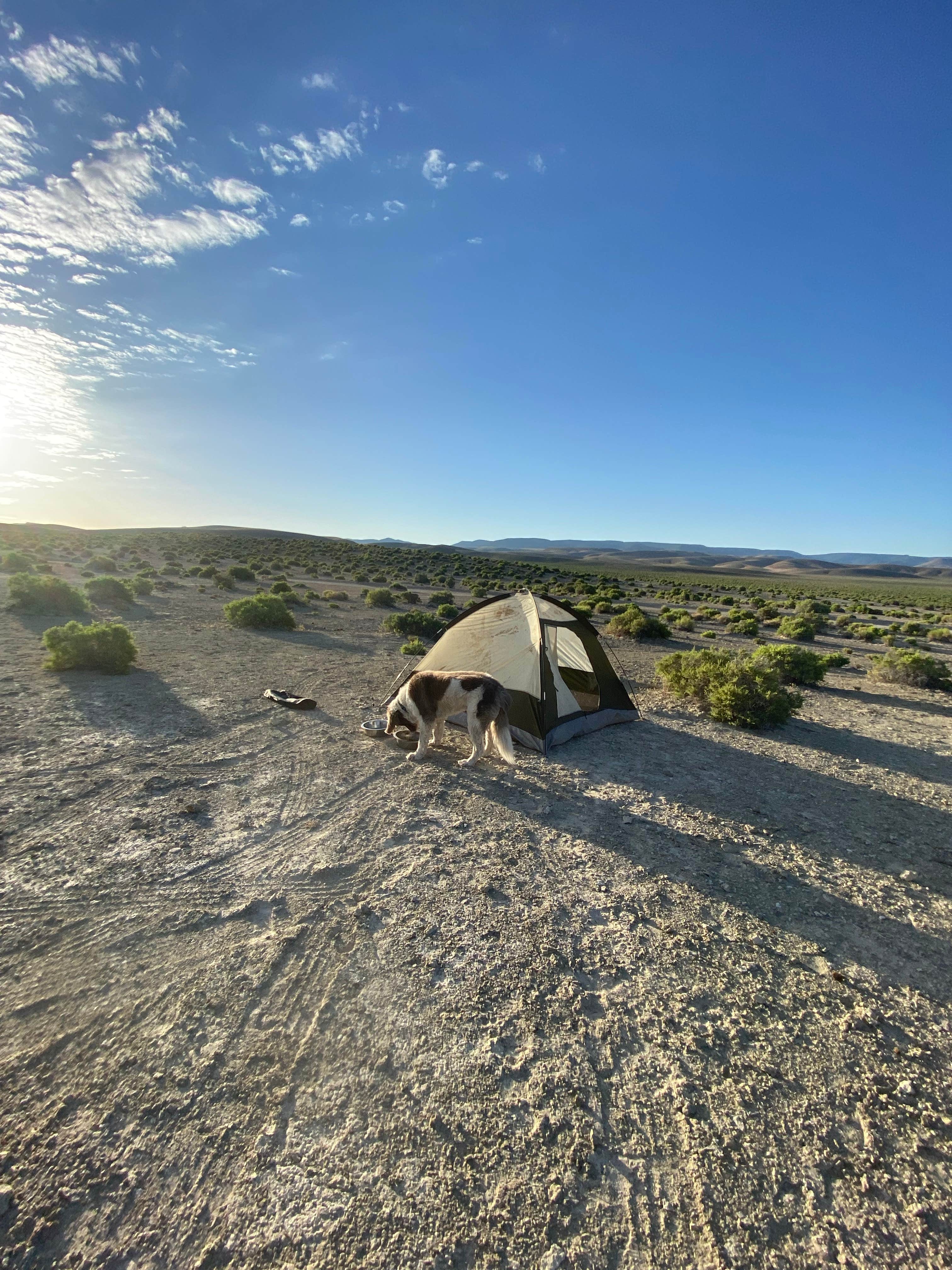 Spencer Hot Springs Camping | Austin, NV