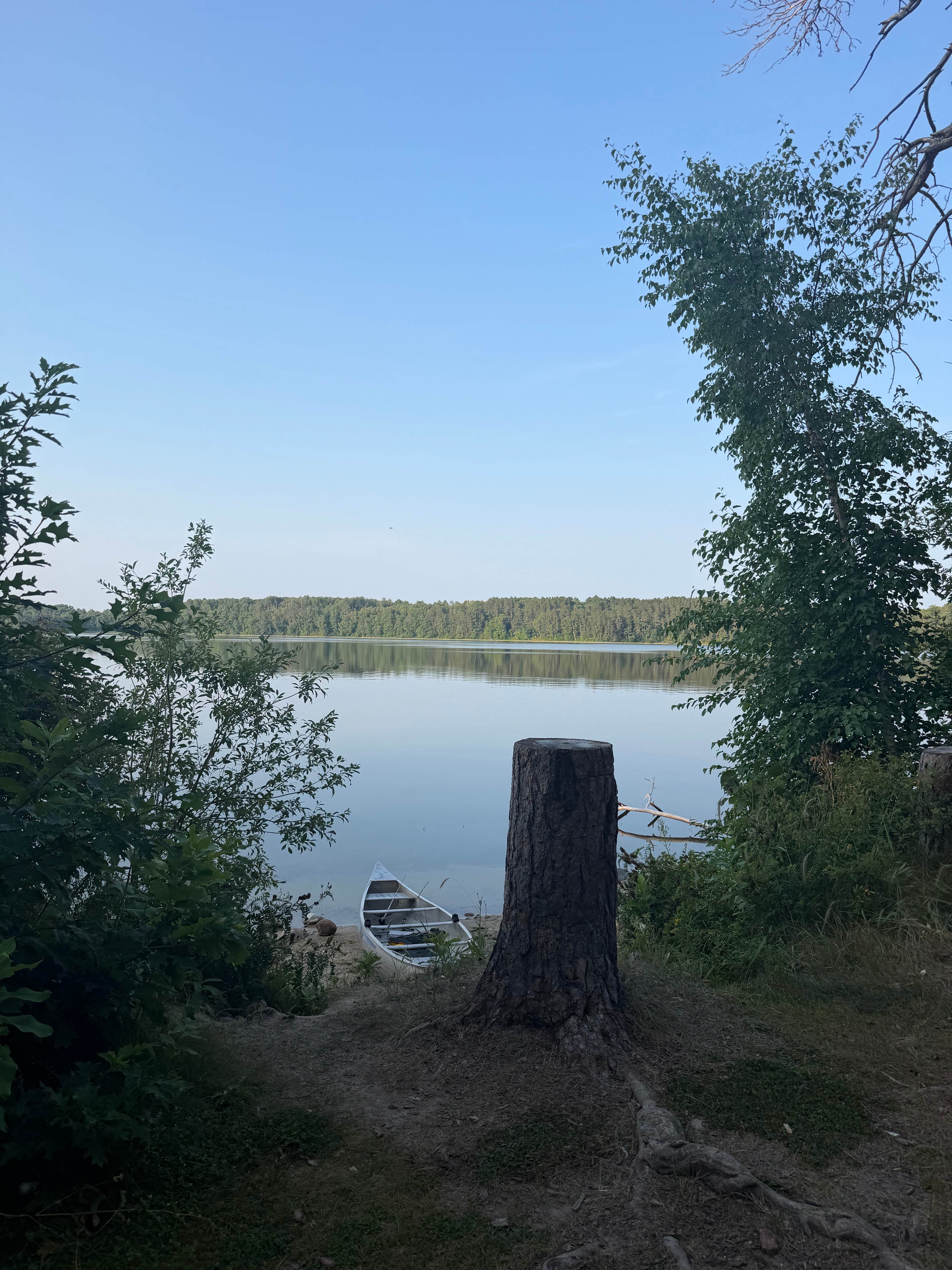 Camper-submitted photo at Spider Lake Dispersed Site near Meadowlands, MN