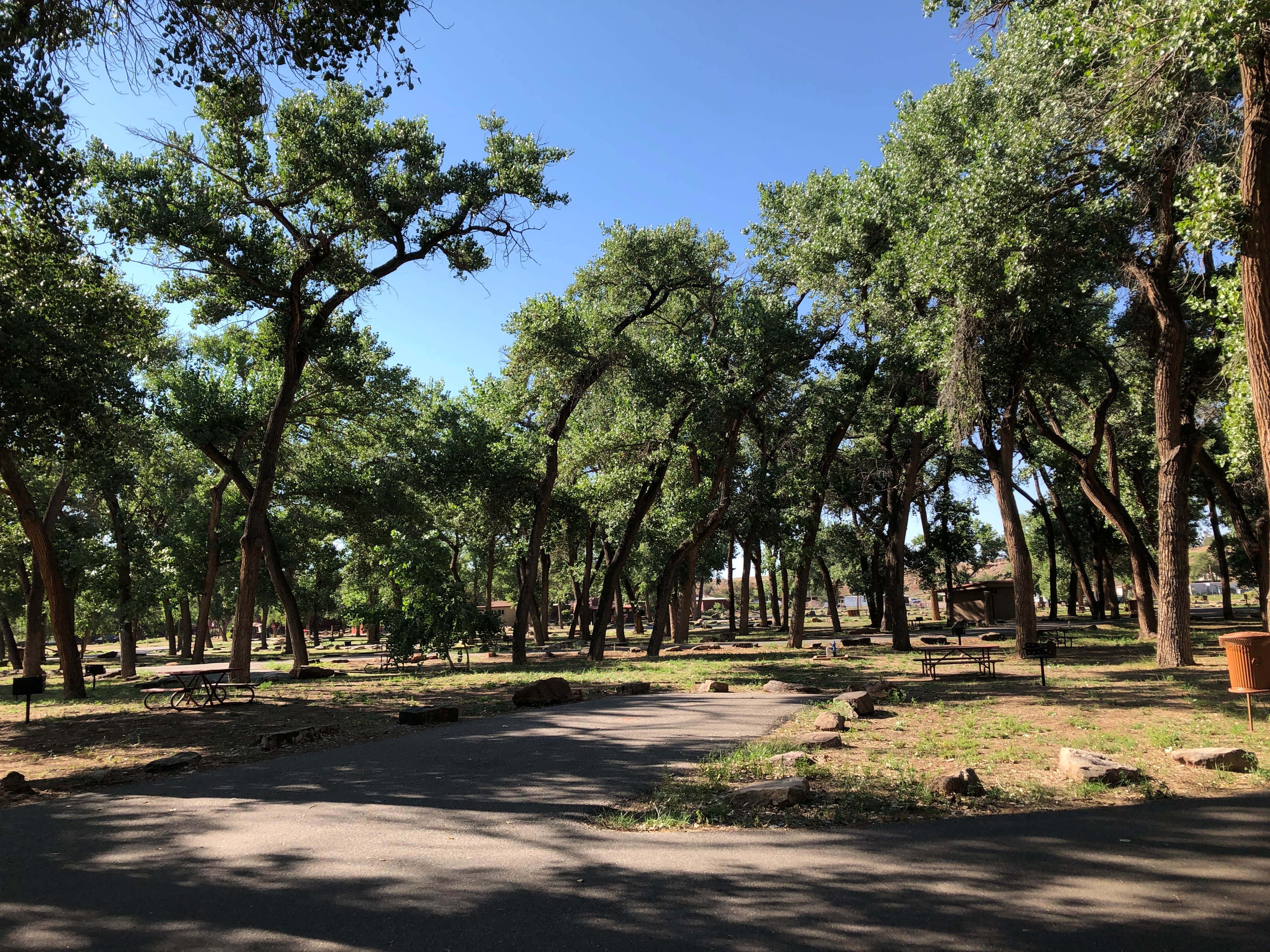 Camper-submitted photo at Spider Rock Campground near Canyon De Chelly National Monument