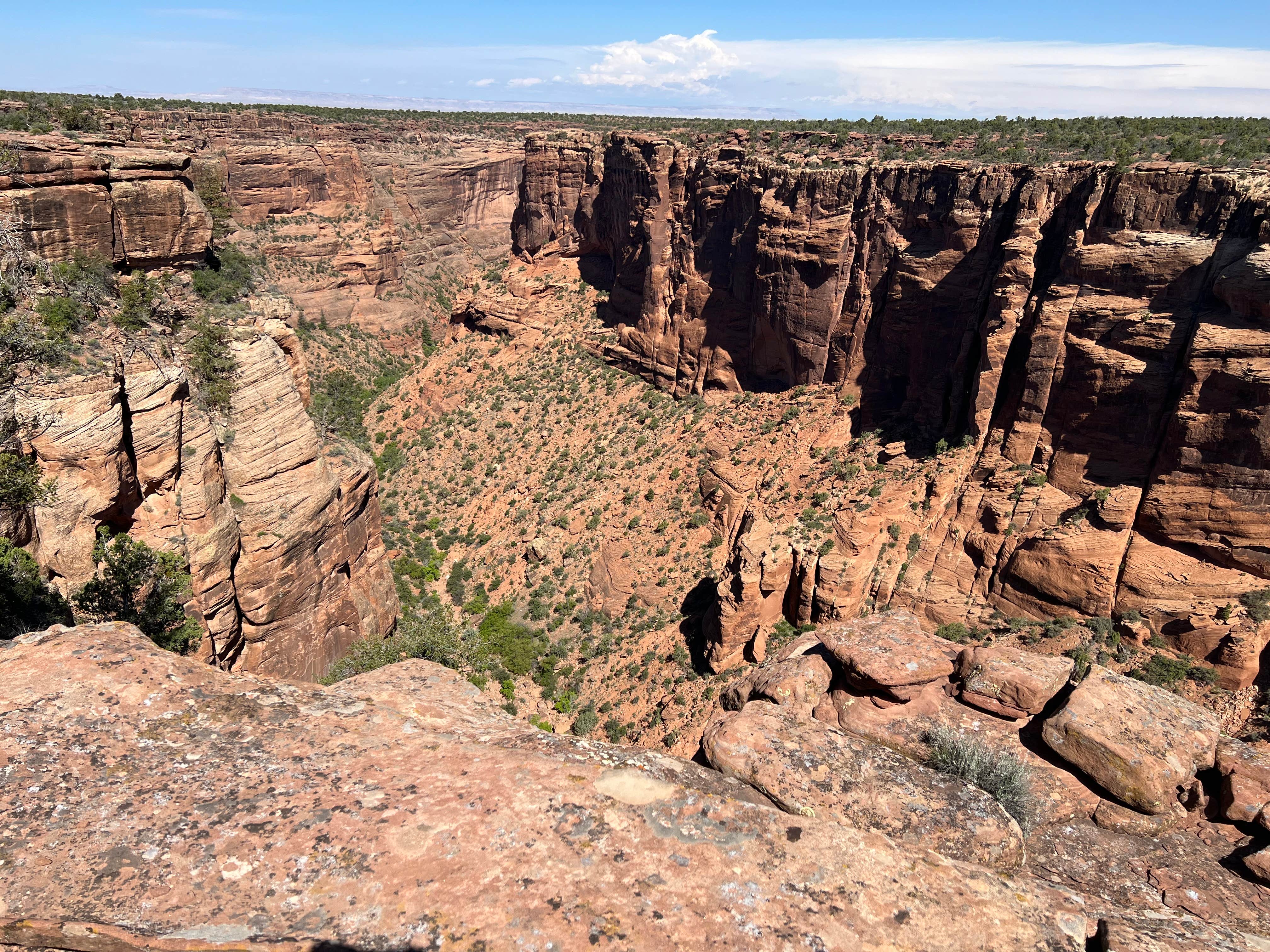 Camper-submitted photo at Spider Rock Campground near Canyon De Chelly National Monument