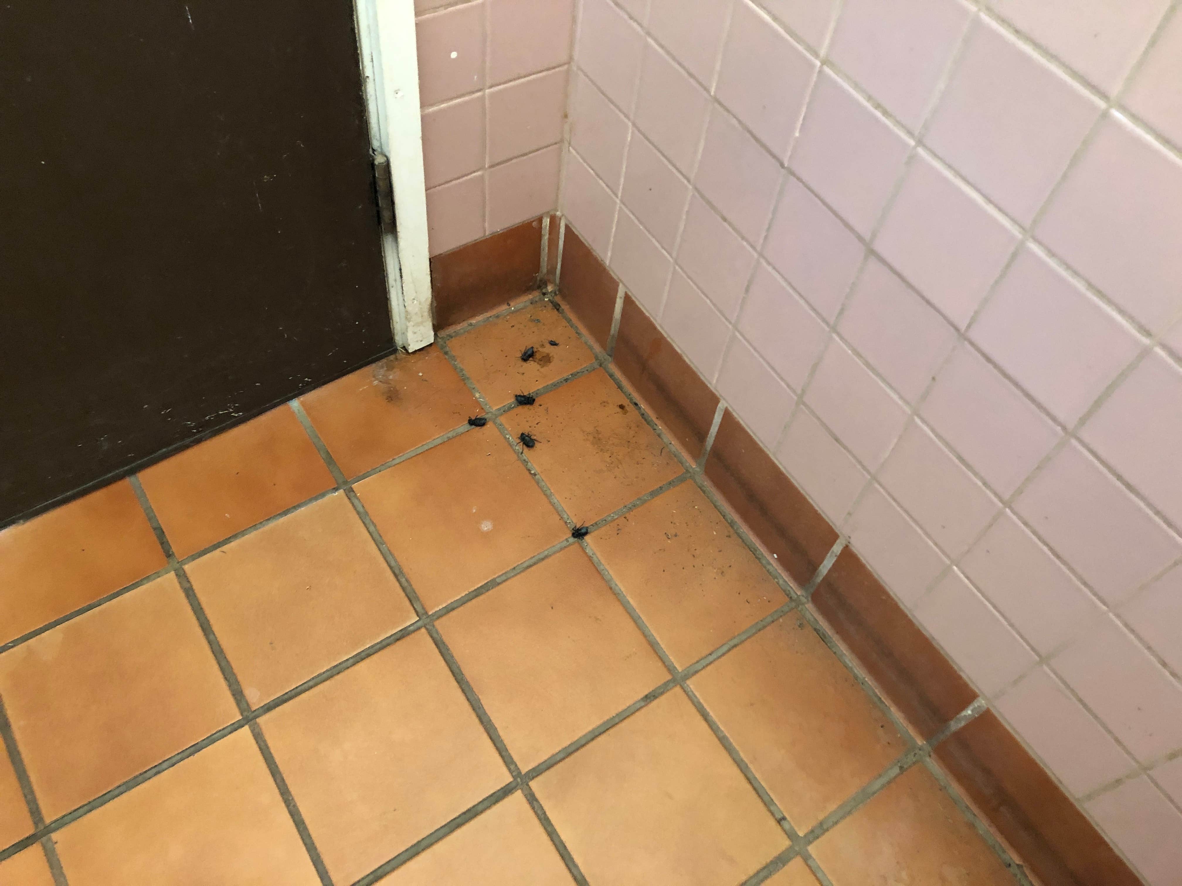 Spider Rock Campground