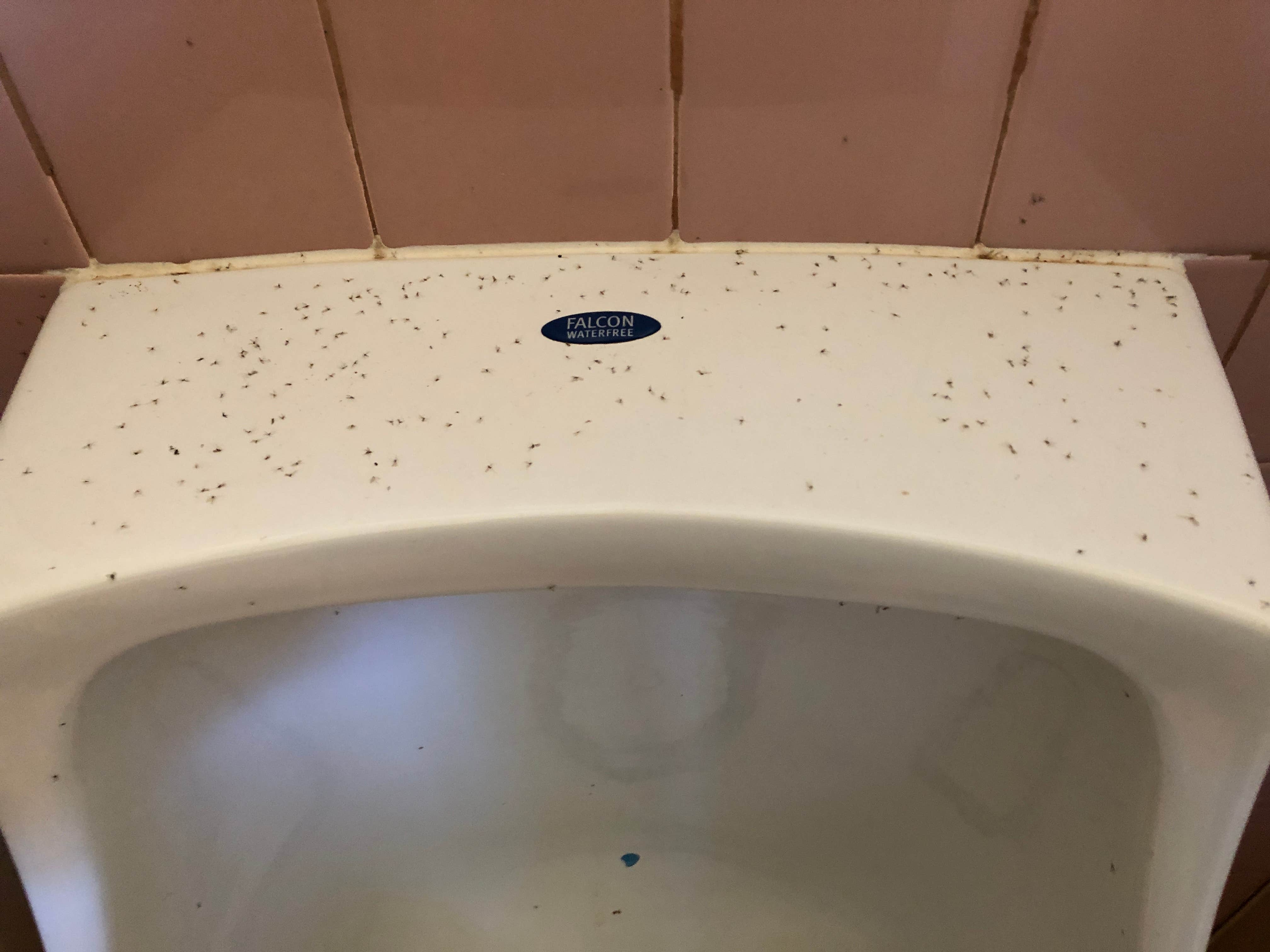 Spider Rock Campground