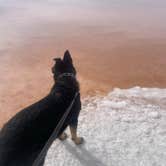 Review photo of Spiral Jetty by Julie S., October 30, 2026