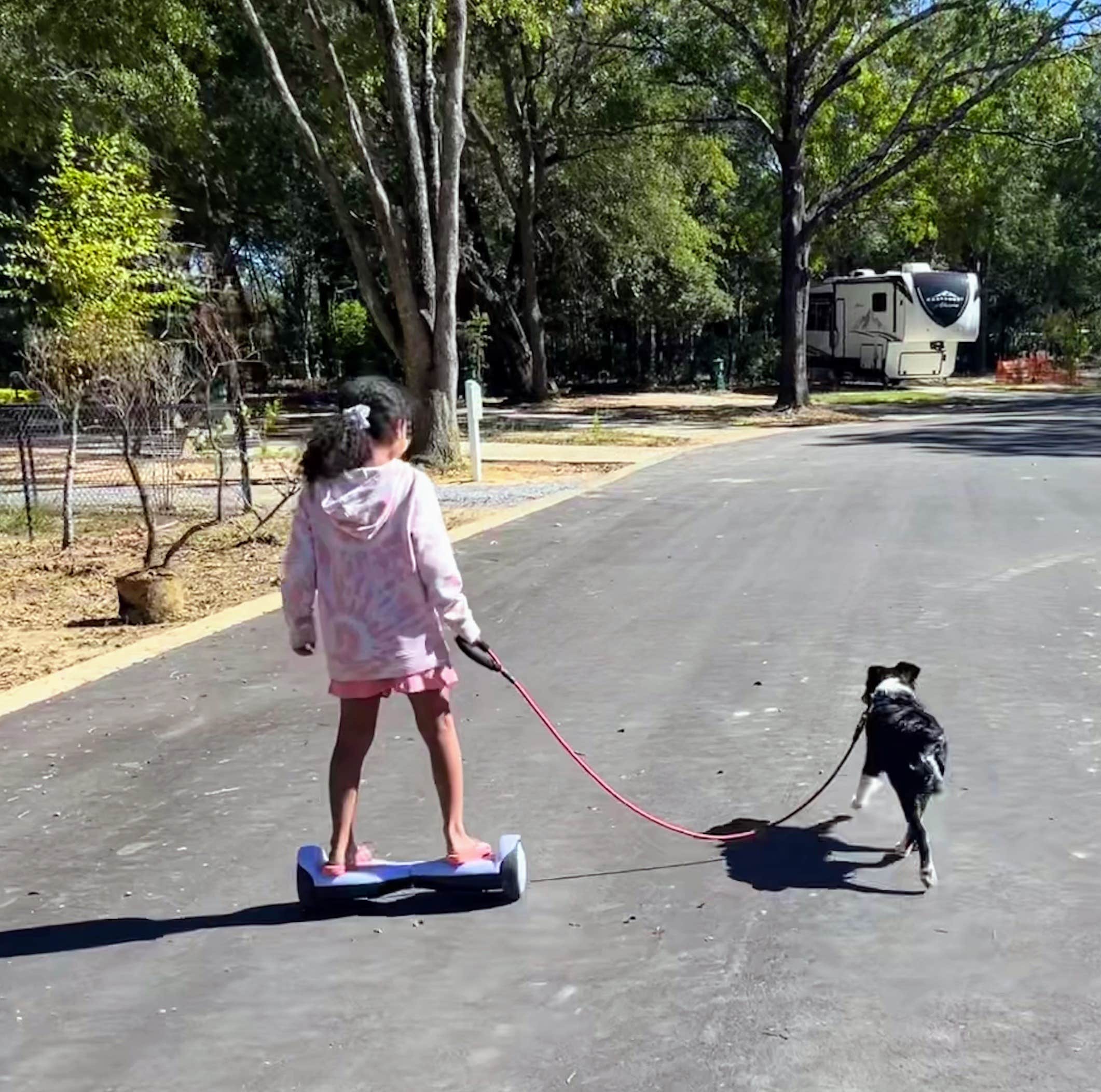 L&A C.'s photo of camping with pets at Splash RV Resort & Waterpark near Crestview, FL