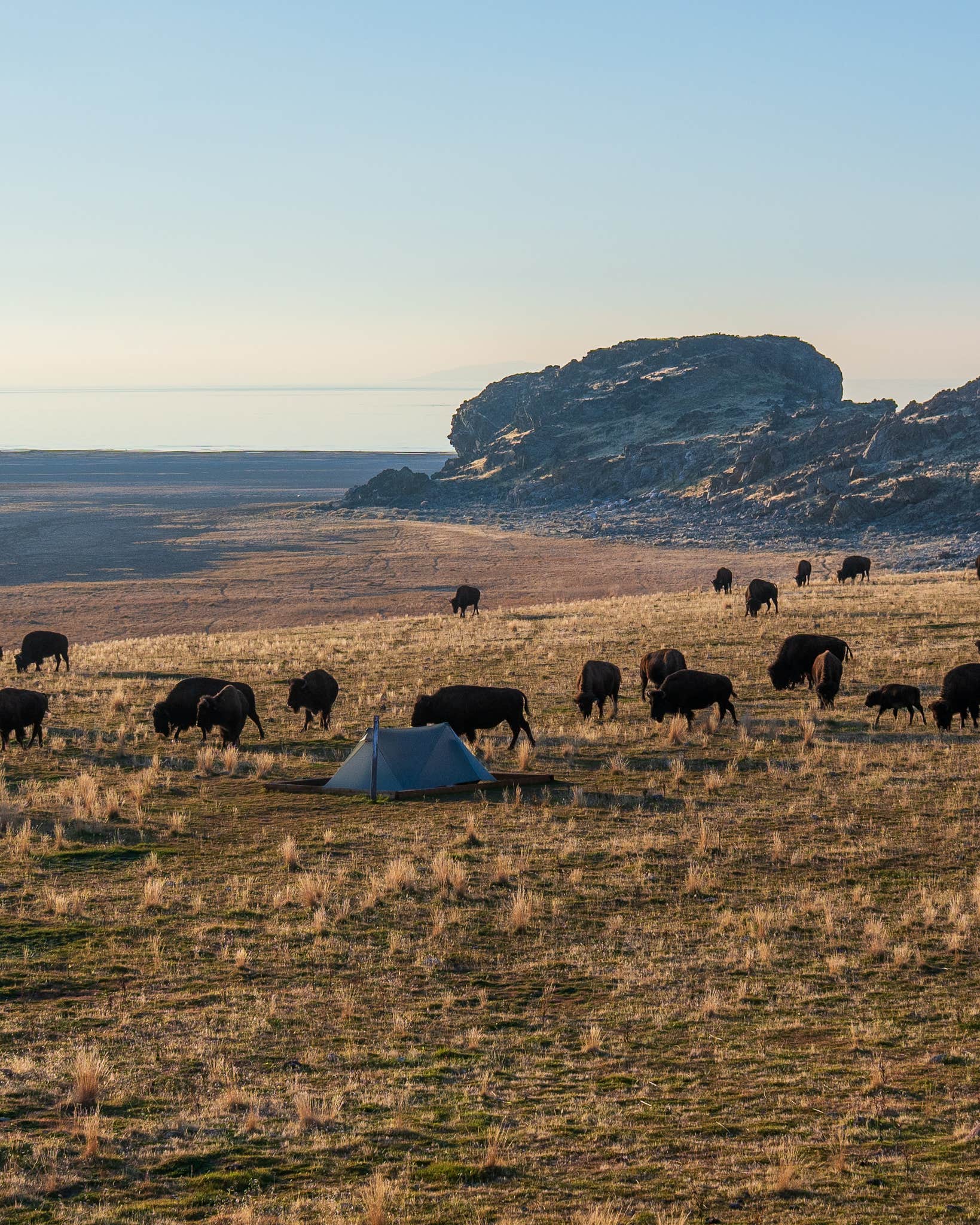 Adam O.'s photo of tent camping at Split Rock Bay Backcountry Campsites — Antelope Island State Park near Coalville, UT