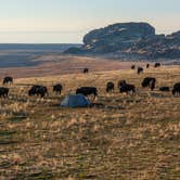 Review photo of Split Rock Bay Backcountry Campsites — Antelope Island State Park by Adam O., November 24, 2025