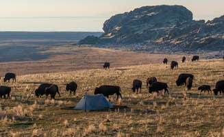 Adam O.'s photo at Split Rock Bay Backcountry Campsites — Antelope Island State Park near Hooper, UT