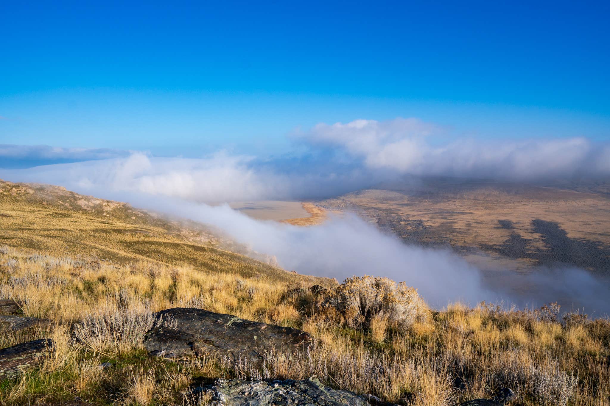 Camper-submitted photo at Split Rock Bay Backcountry Campsites — Antelope Island State Park near Centerville, UT