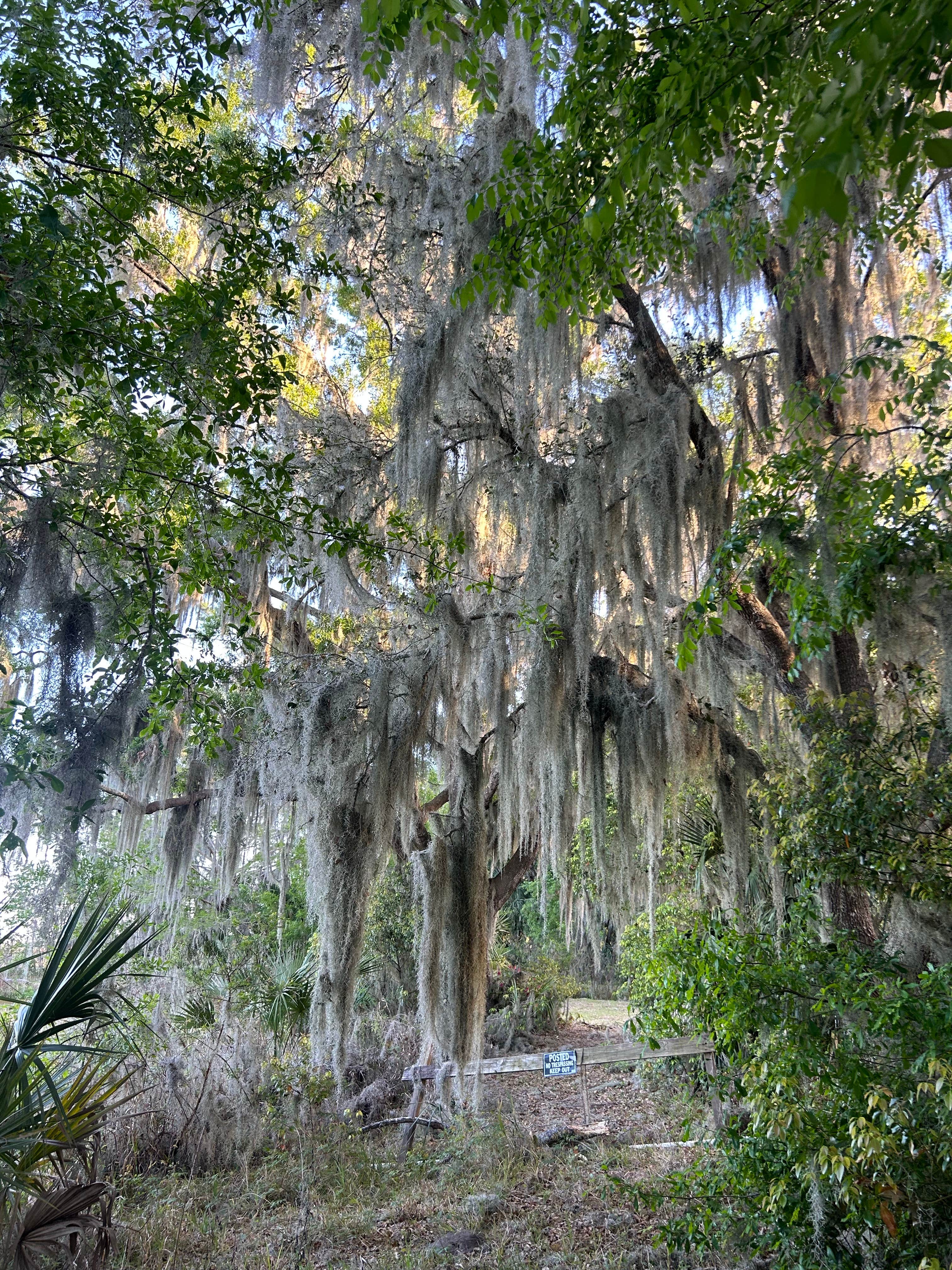 Camper-submitted photo at Sportsman's Cove Resort near Reddick, FL