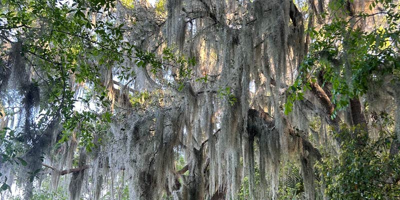 Camper submitted image from Sportsman's Cove Resort