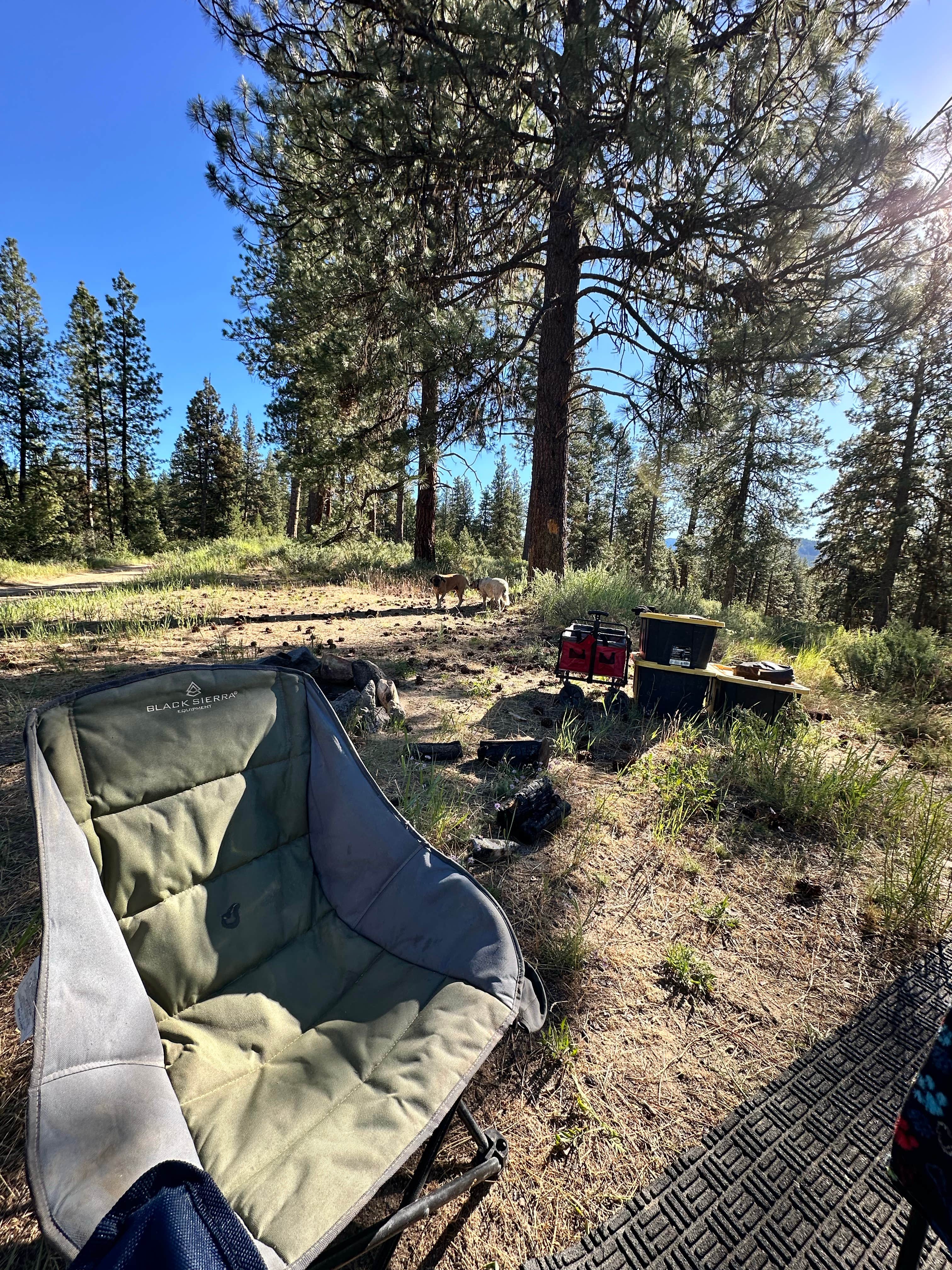 Imerie T.'s photo at spot up the hill near Horseshoe Bend, ID