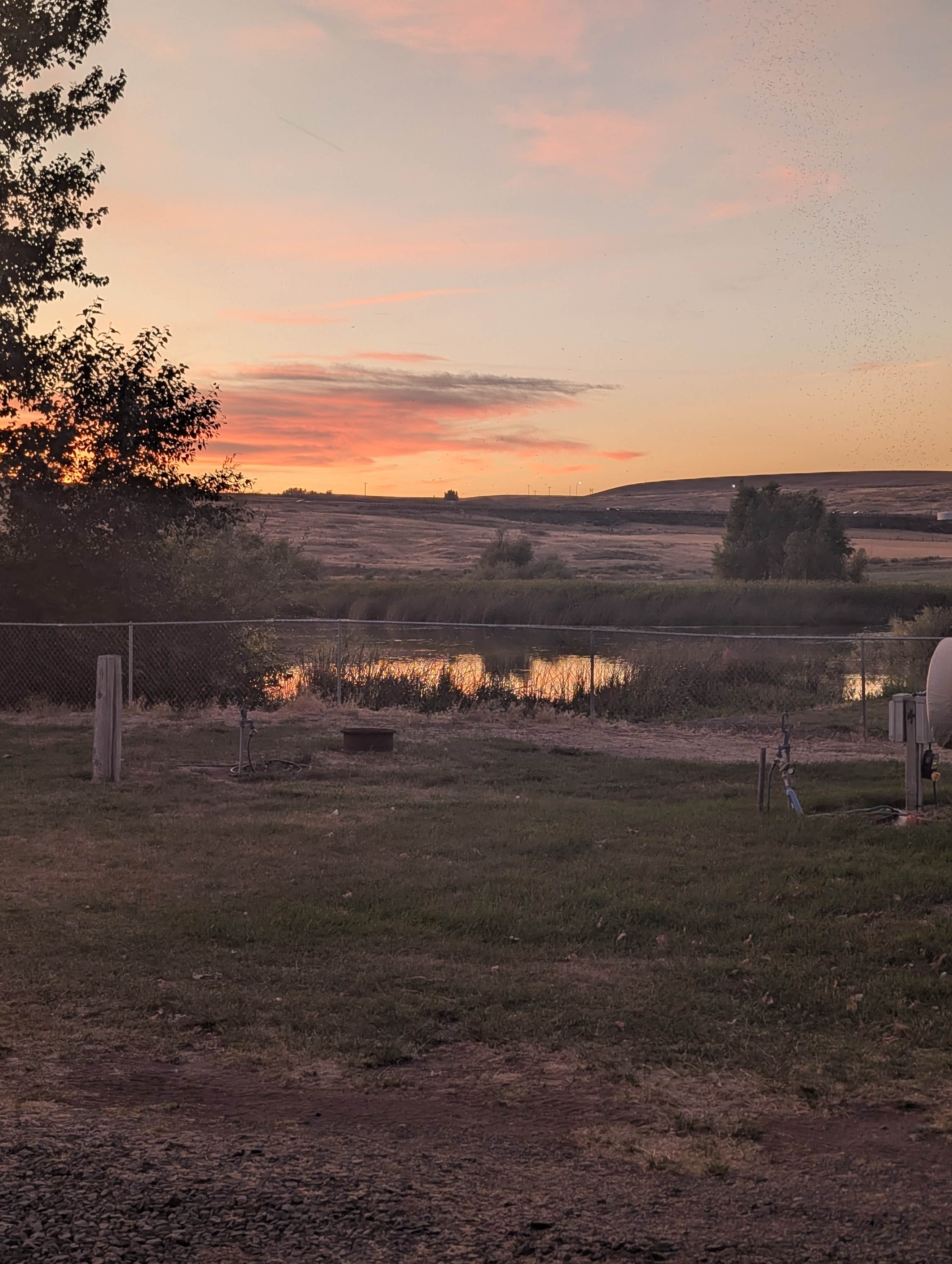 Camper submitted image from Sprague Lake Resort - 2