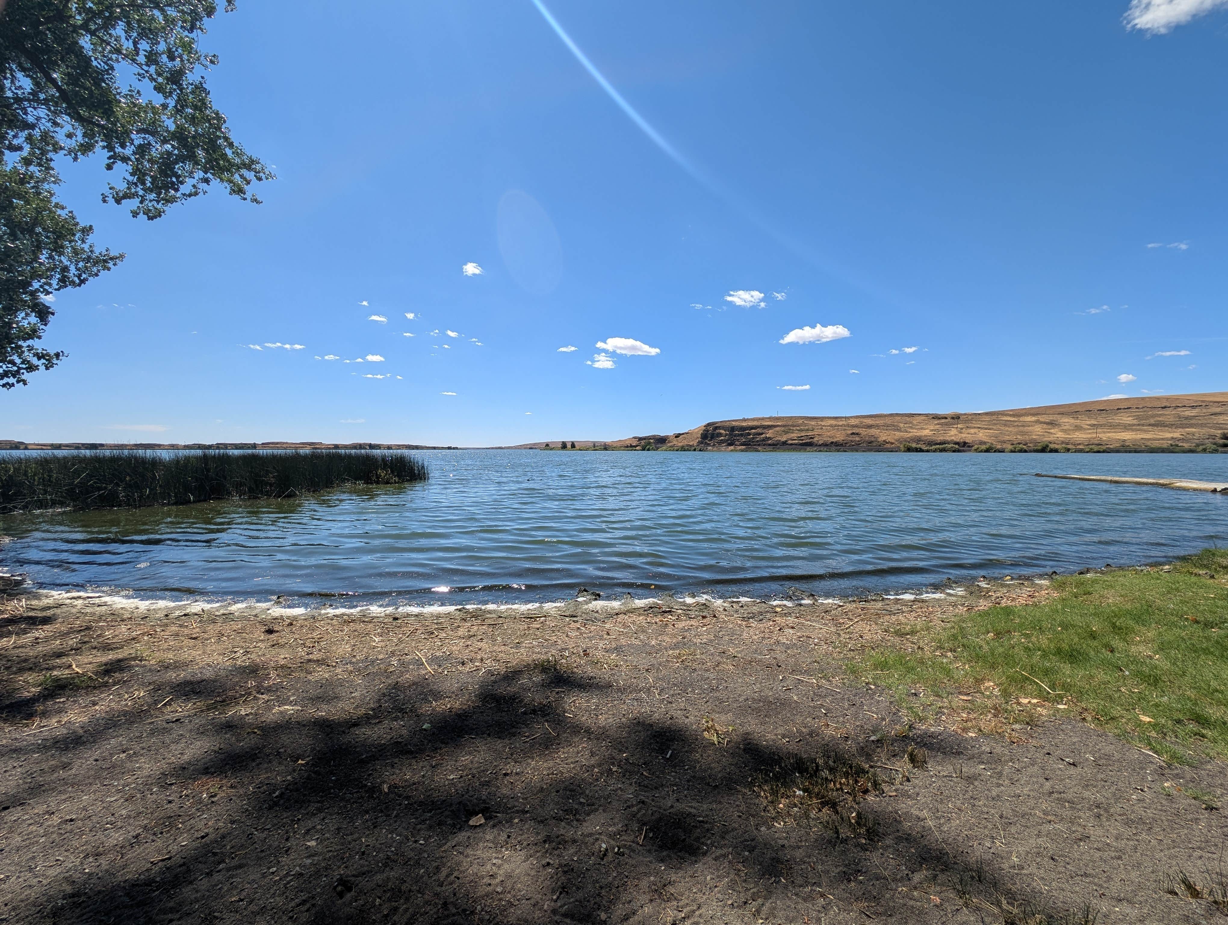 Camper-submitted photo at Sprague Lake Resort near St. John, WA