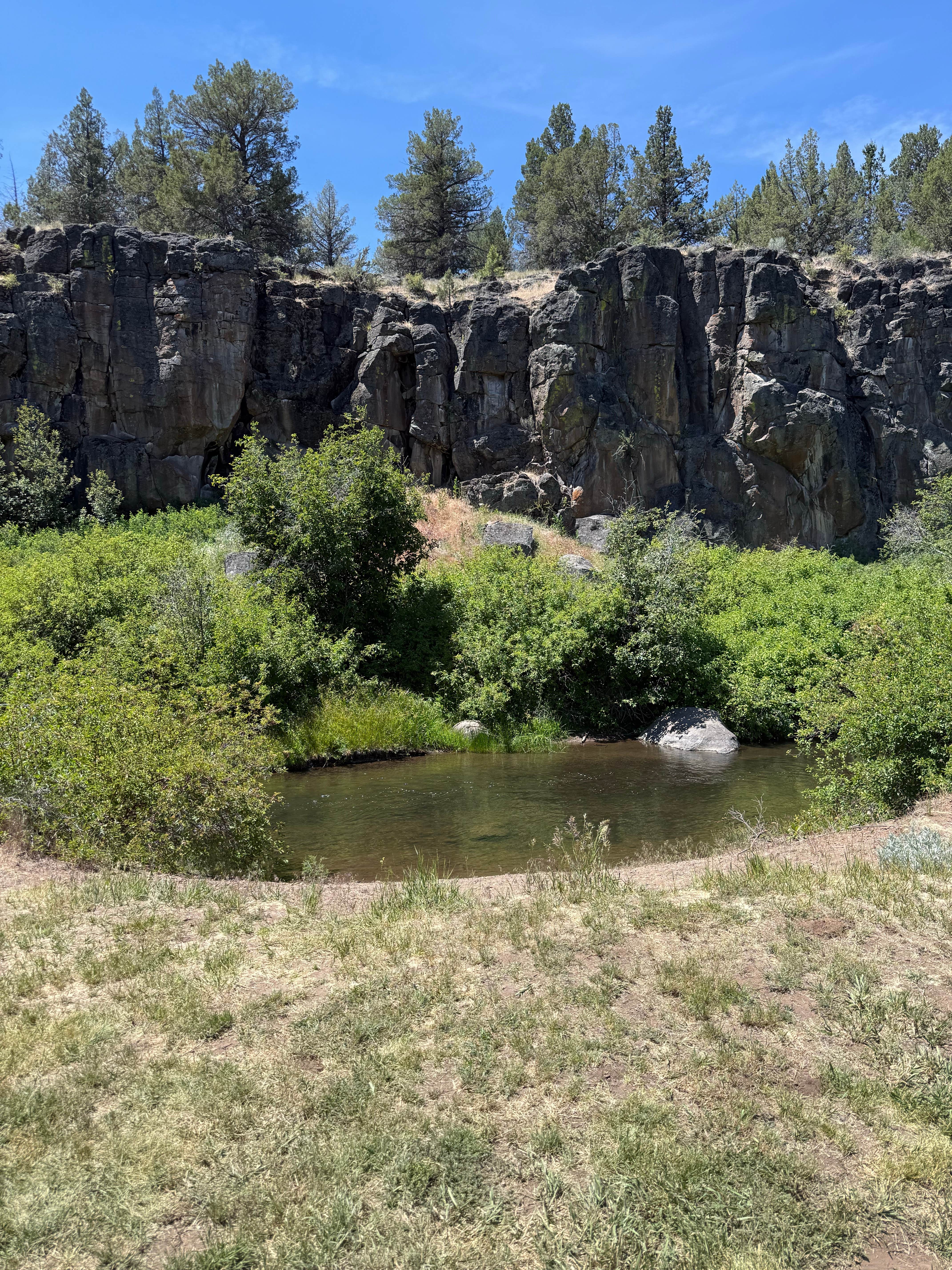 Camper-submitted photo at Sprague River picnic area near Fremont-Winema National Forest