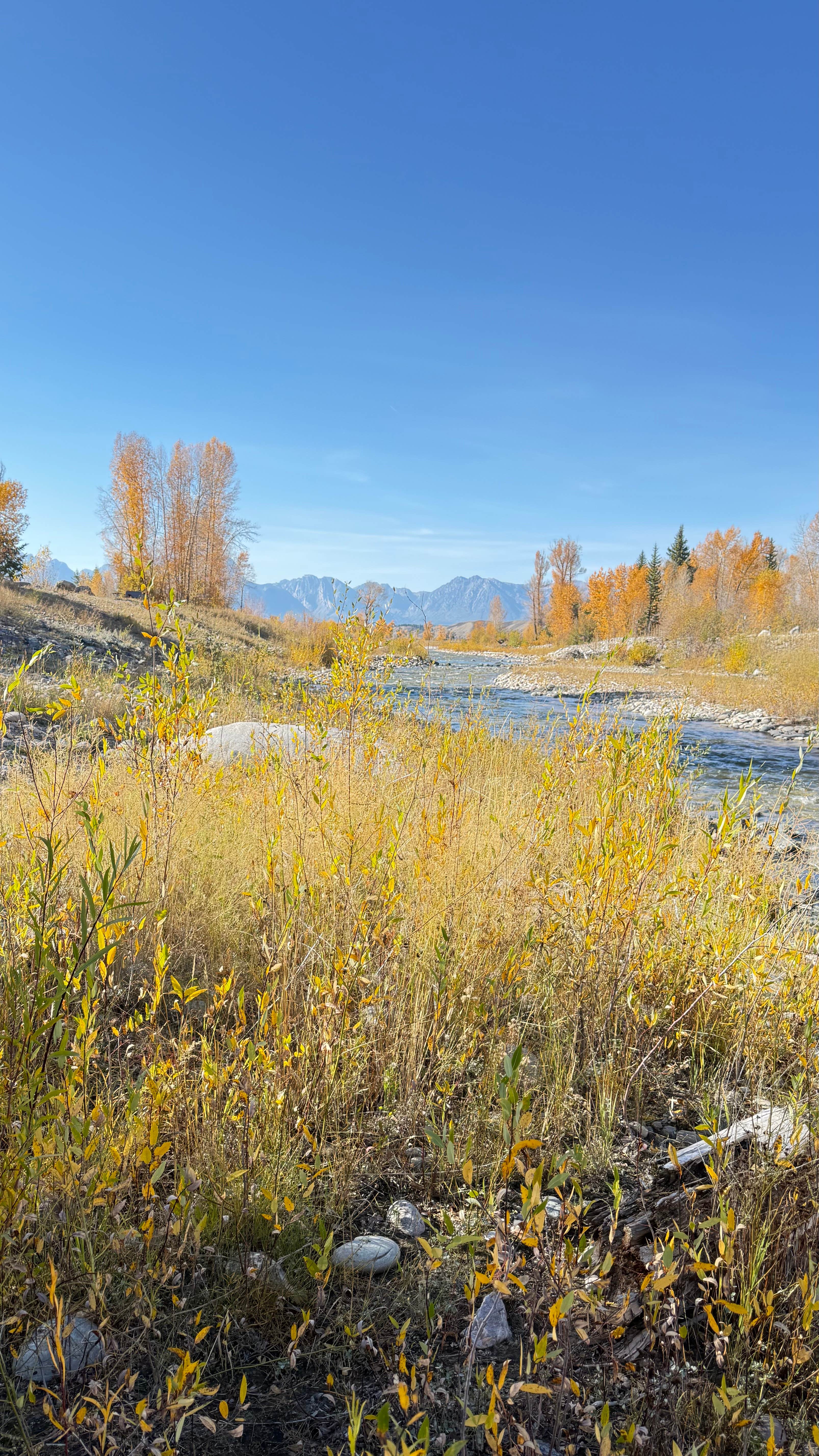 Spread Creek