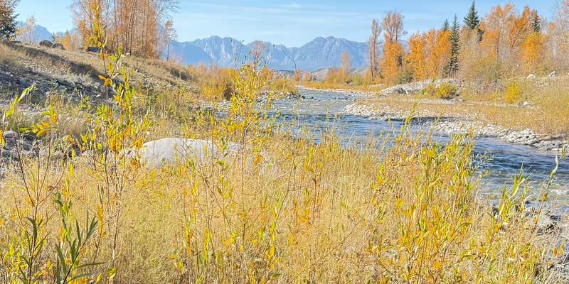 Camper submitted image from Spread Creek