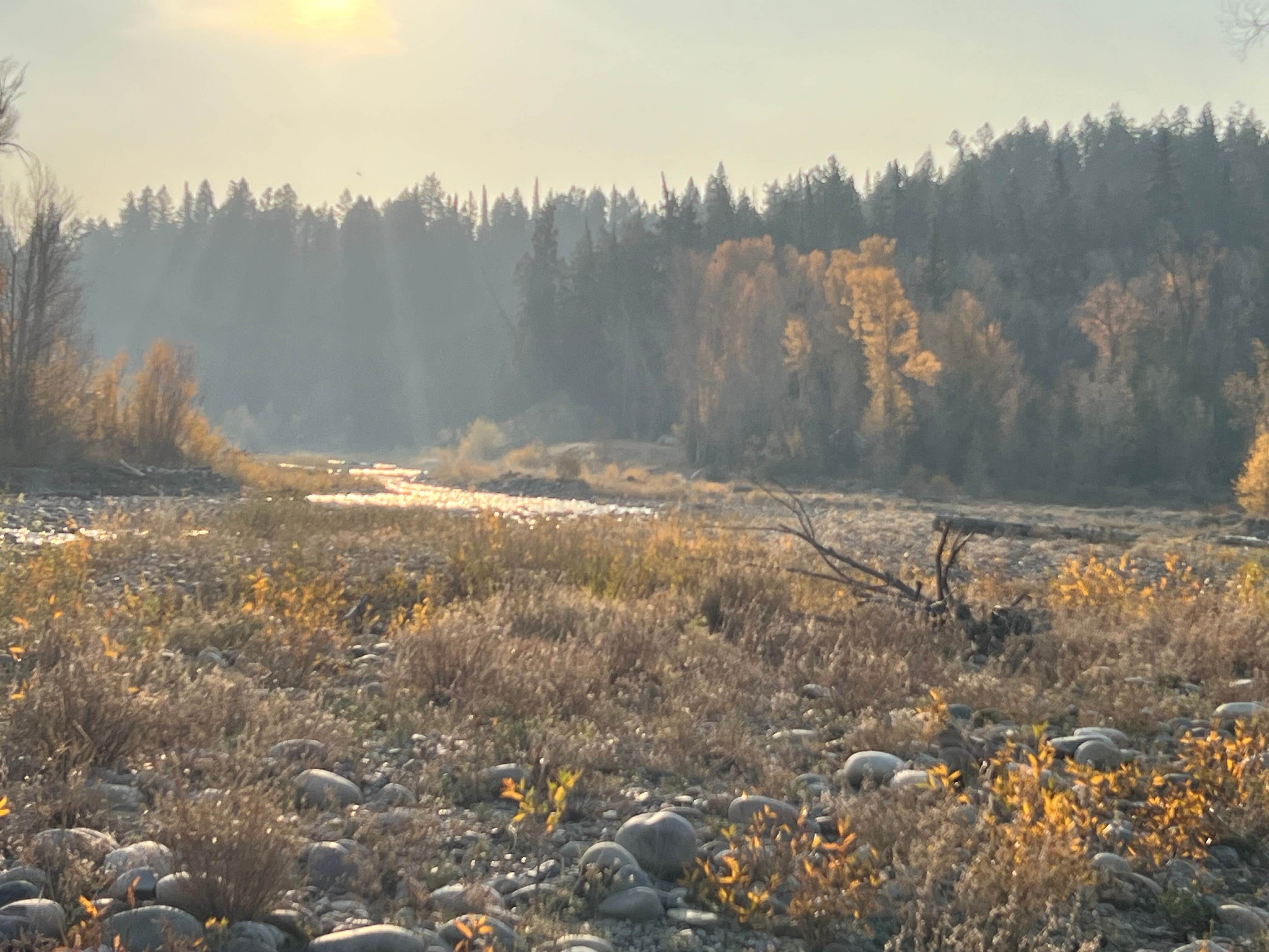 Camper submitted image from Spread Creek Dispersed Site - 3