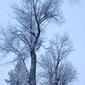 Review photo of Spread Creek Dispersed Campground by Leah M., April 10, 2025