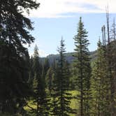 Review photo of Spring Creek Colorado- Dispersed Camping by Katherine M., August 22, 2025
