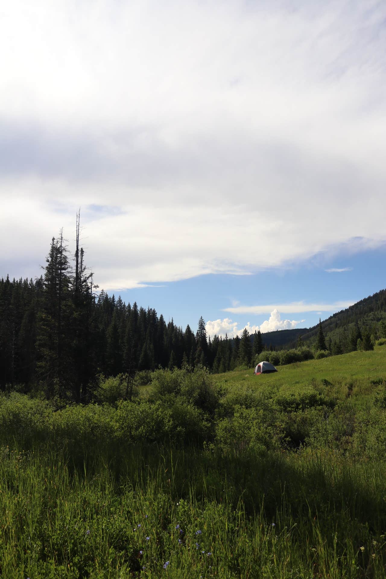 Spring Creek Colorado- Dispersed Camping