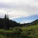 Spring Creek Colorado- Dispersed Camping
