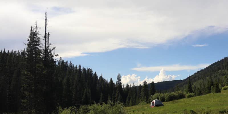 Camper submitted image from Spring Creek Colorado- Dispersed Camping