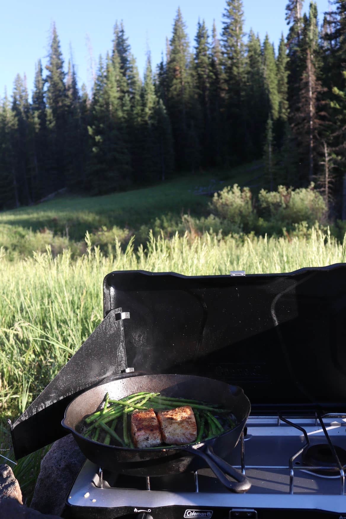 Camper-submitted photo at Spring Creek Colorado- Dispersed Camping near Heeney, CO